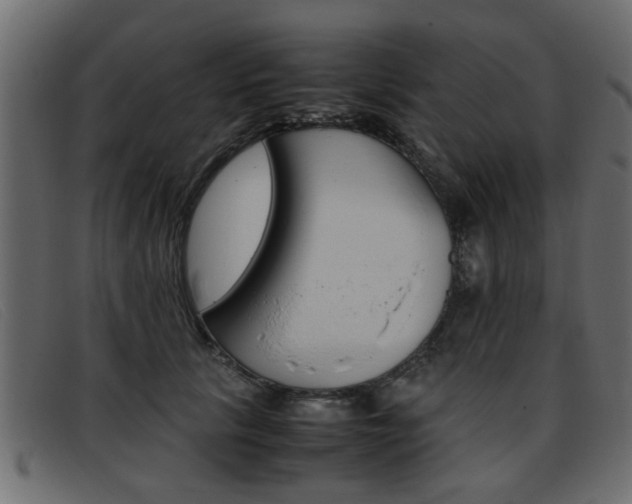 X0000093390657200710111348