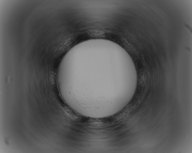 X0000093390658200710111348