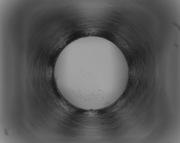 X0000093390660200710111349