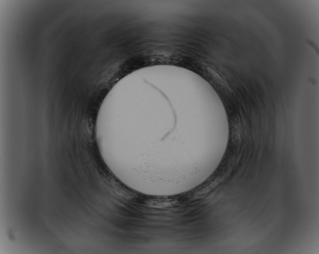 X0000093390661200710111349