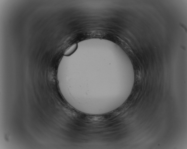 X0000093390663200710111349