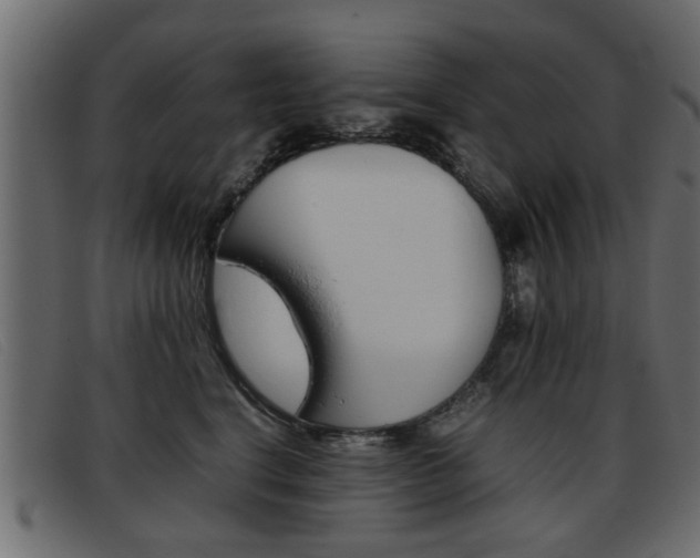 X0000093390664200710111349
