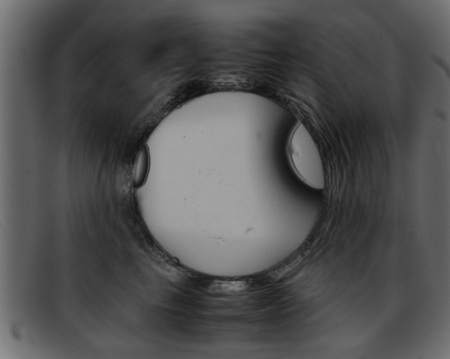 X0000093390665200710111349