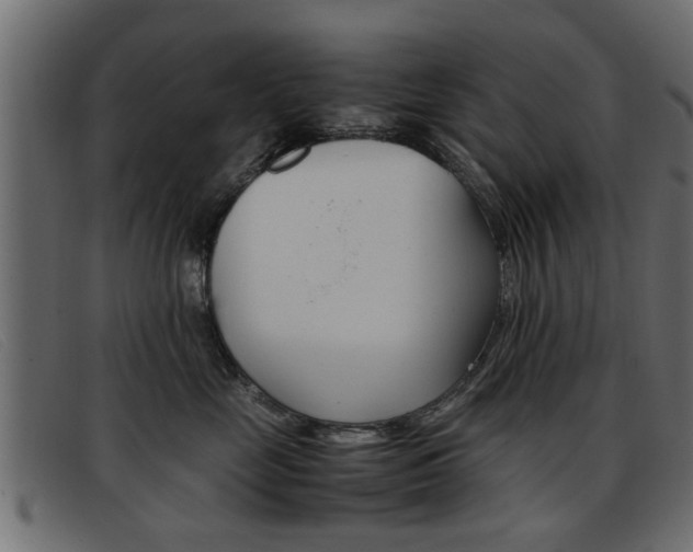 X0000093390669200710111349