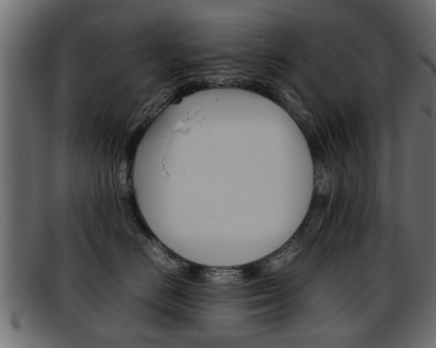 X0000093390670200710111349