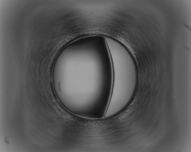 X0000093390673200710111348