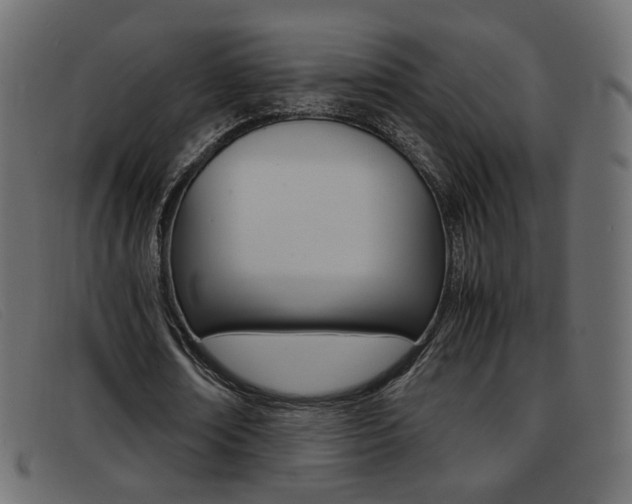 X0000093390674200710111348
