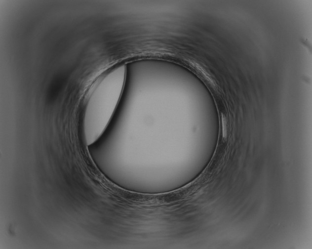 X0000093390675200710111348