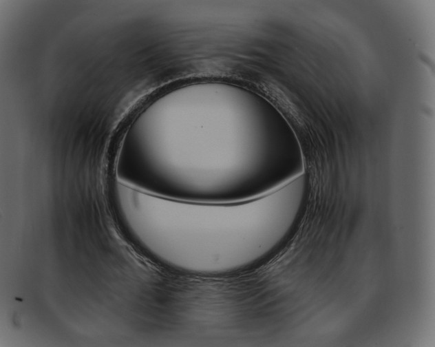 X0000093390676200710111348