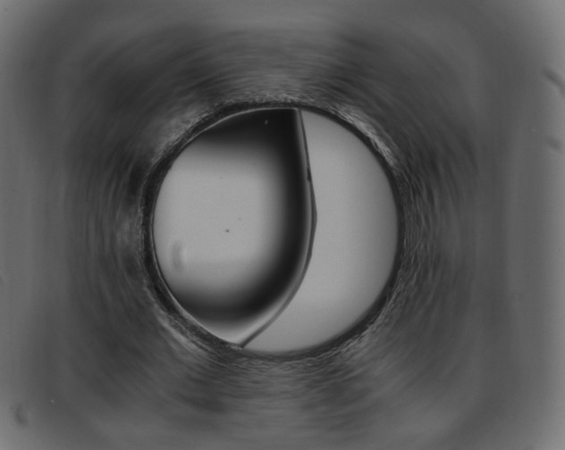 X0000093390677200710111348
