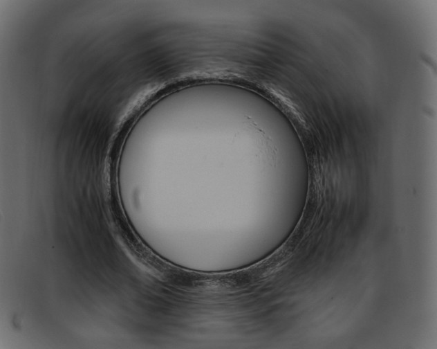 X0000093390678200710111348