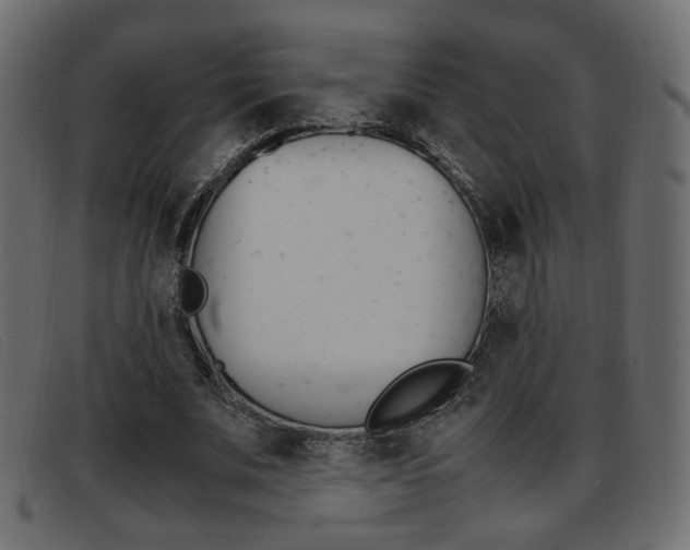 X0000093390679200710111348