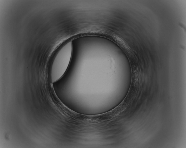 X0000093390680200710111348
