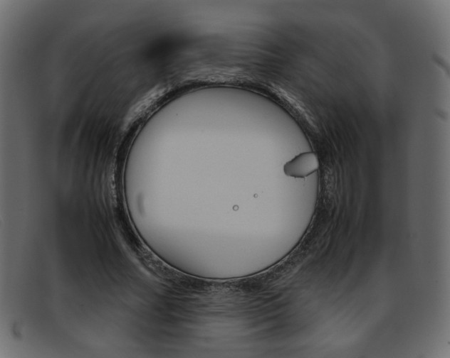 X0000093390682200710111348