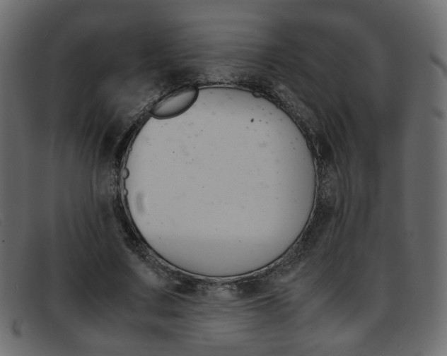 X0000093390683200710111348