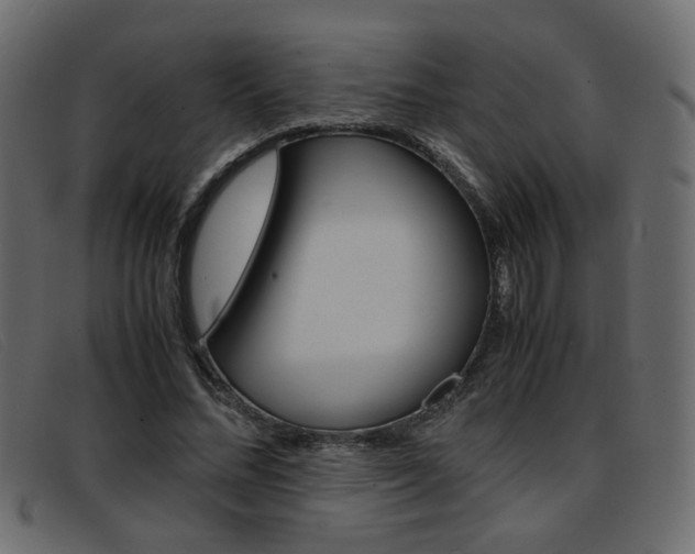 X0000093390684200710111348