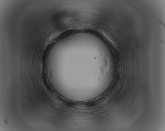 X0000093390685200710111348