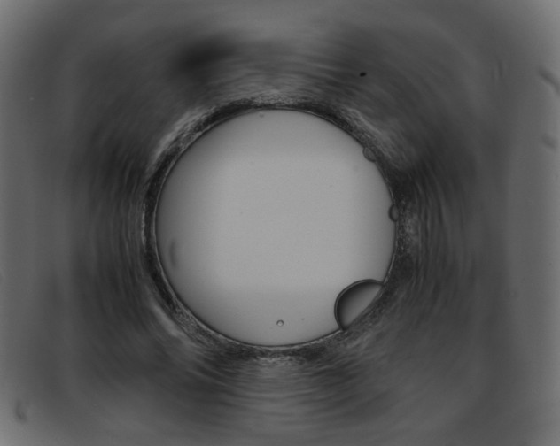 X0000093390686200710111348