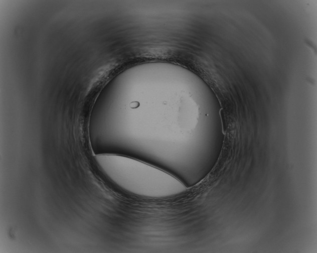 X0000093390688200710111348