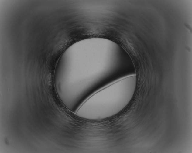 X0000093390689200710111348