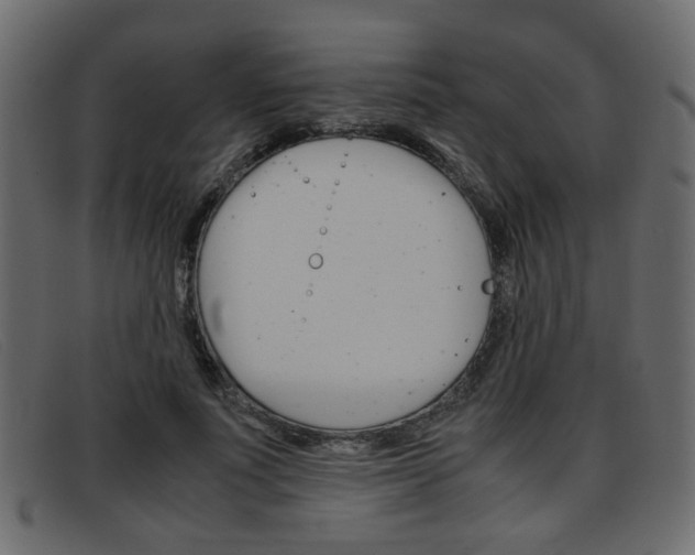 X0000093390691200710111348