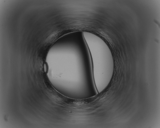 X0000093390693200710111348