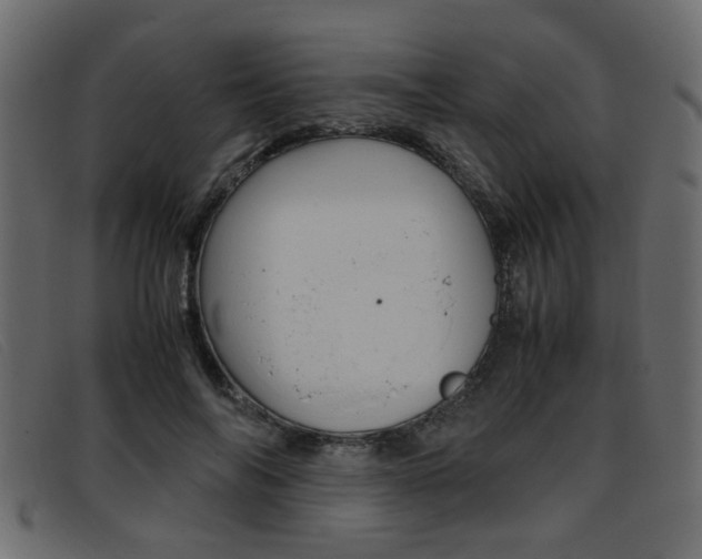 X0000093390694200710111348
