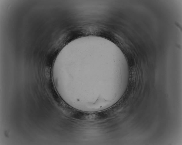 X0000093390695200710111348