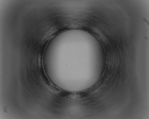 X0000093390696200710111348