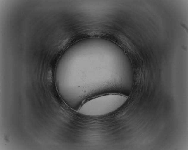 X0000093390700200710111348