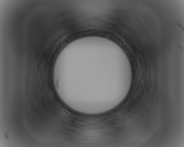 X0000093390701200710111348