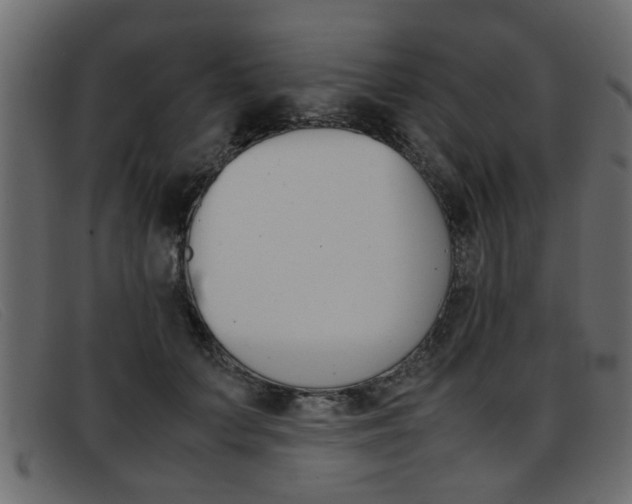 X0000093390703200710111348