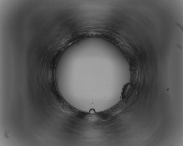 X0000093390704200710111348