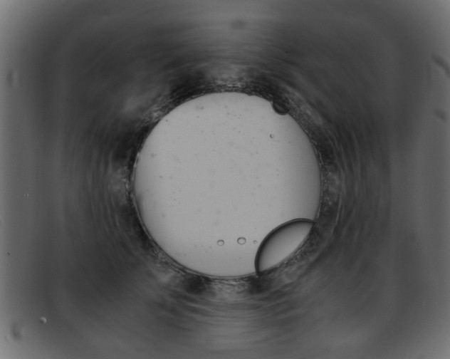 X0000093390707200710111348