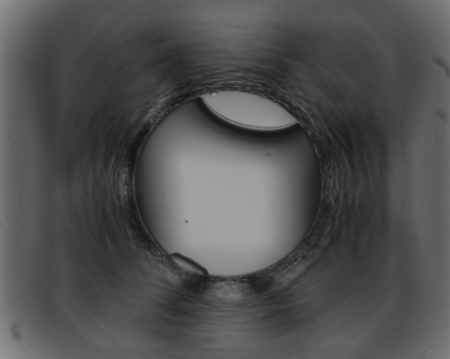 X0000093390708200710111348