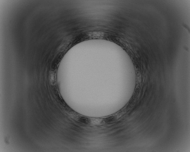 X0000093390709200710111348