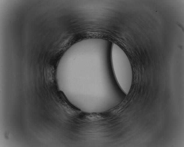 X0000093390712200710111348