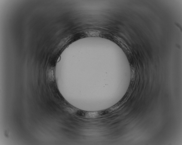X0000093390717200710111348