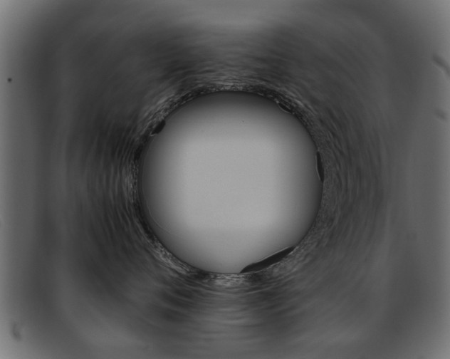 X0000093390720200710111348