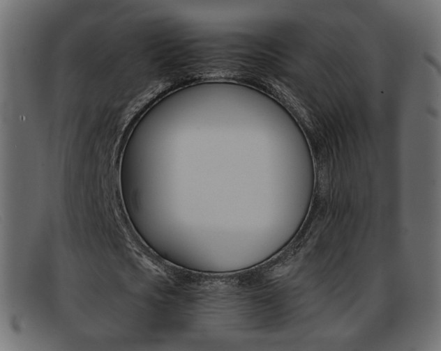 X0000093390721200710111347