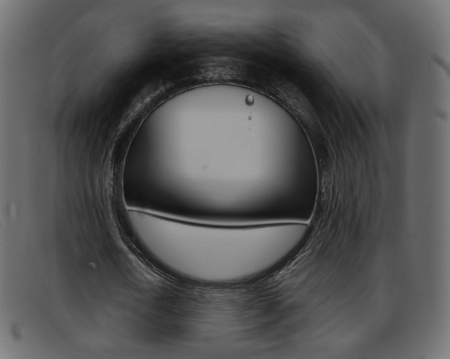 X0000093390722200710111347