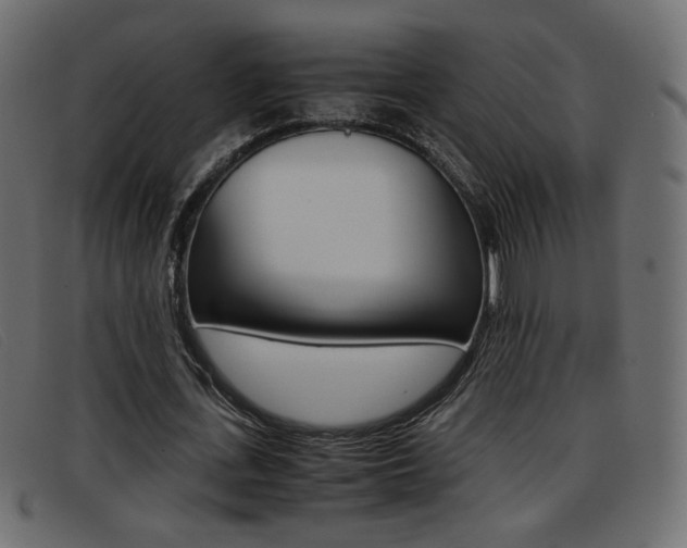 X0000093390723200710111347