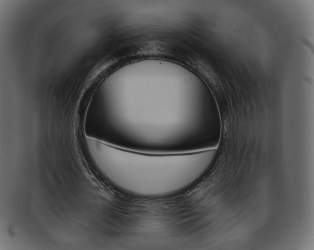 X0000093390724200710111347