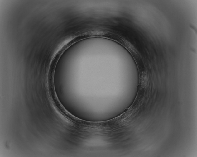 X0000093390726200710111347