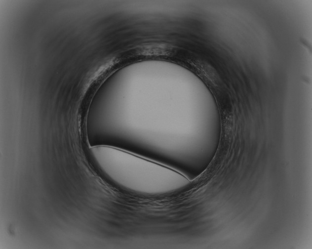 X0000093390727200710111347