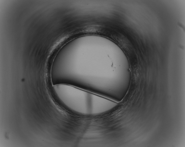 X0000093390728200710111347