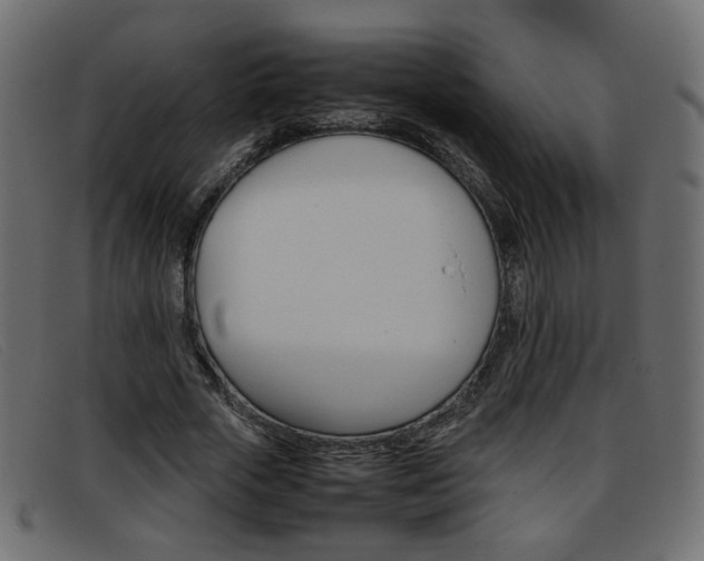 X0000093390729200710111347