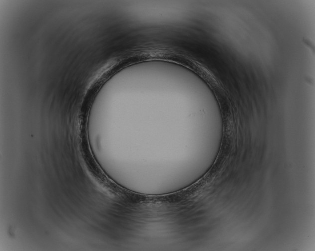 X0000093390730200710111347