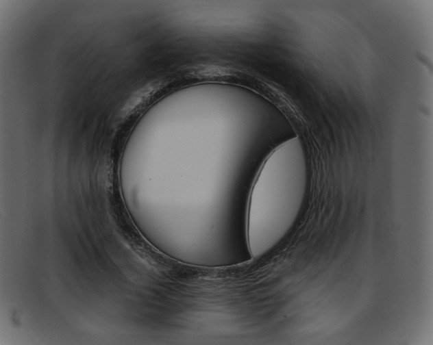 X0000093390732200710111347