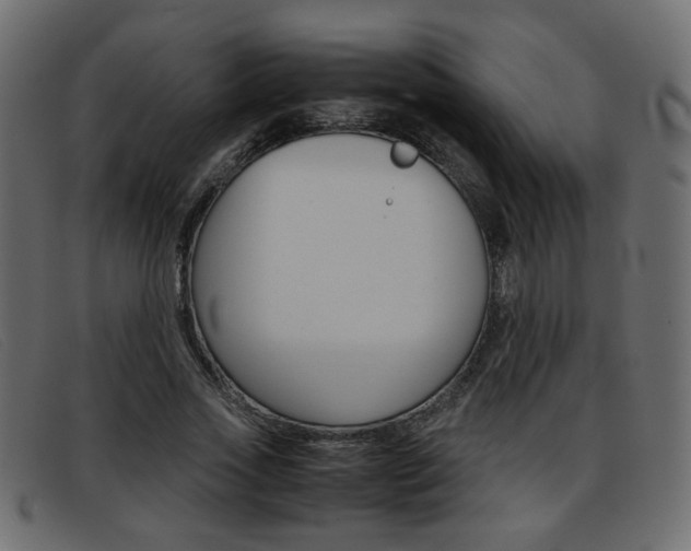 X0000093390733200710111347